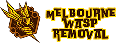 Wasp Pest Control Melbourne